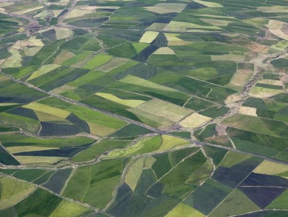 Farmland aerial view